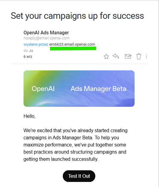 Kiedy inzynieria weszła za bardzo openai phishing xd